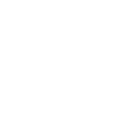 Spring Bay Mill logo