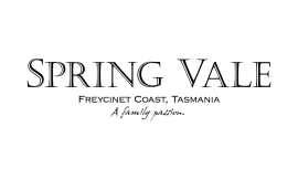 Spring Vale logo
